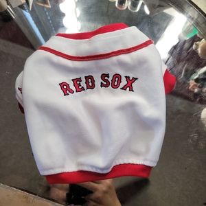Dog Red Sox shirt